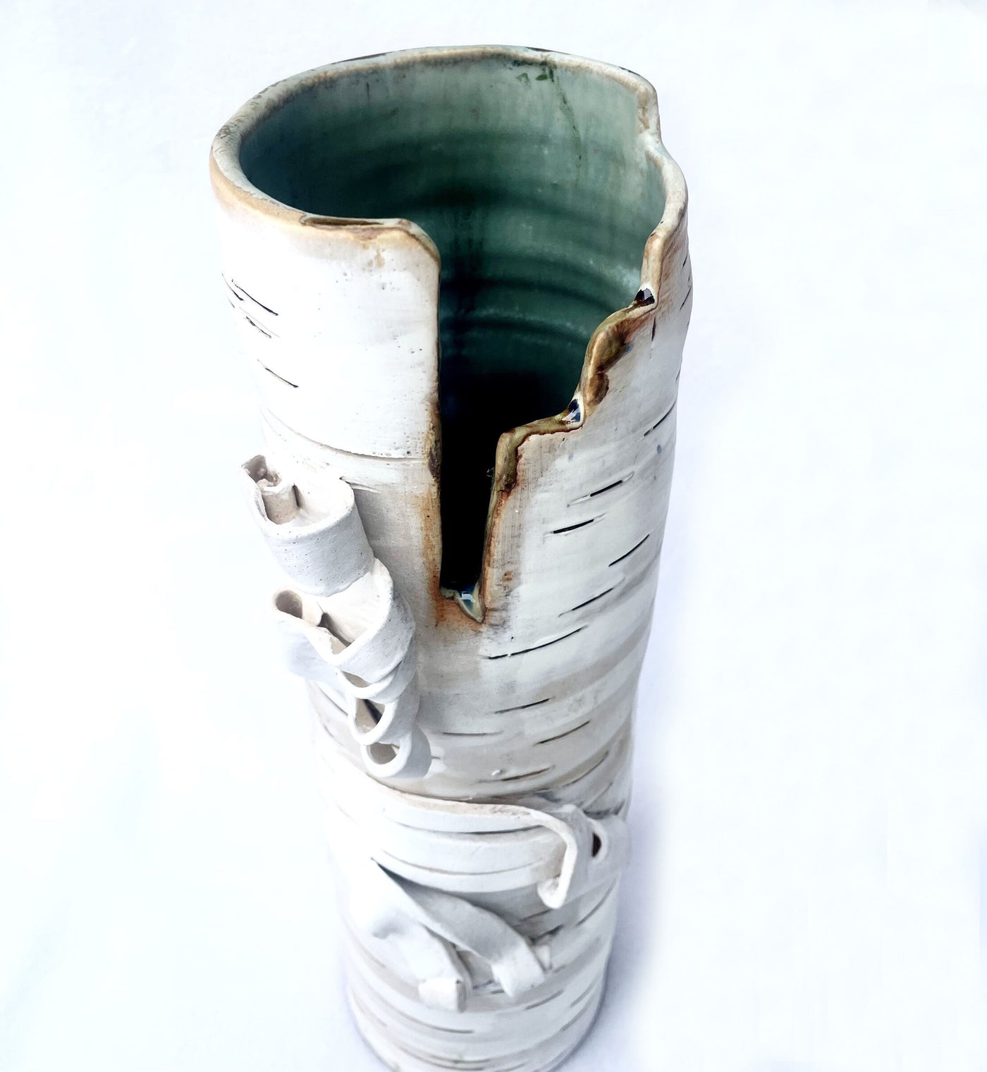 Elegant Birch Vase