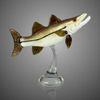 Snook