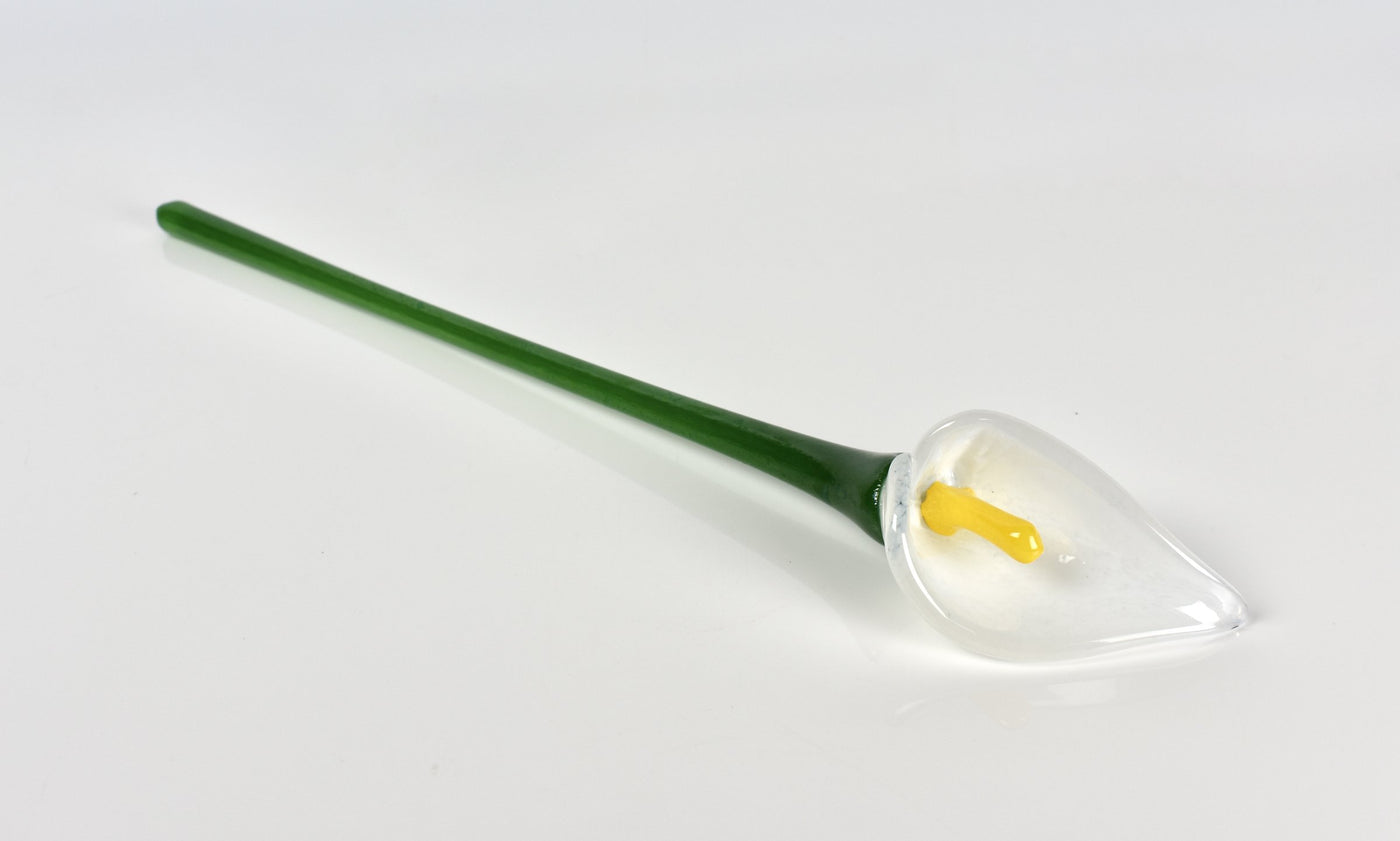 Calla Lily
