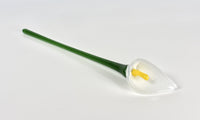 Calla Lily