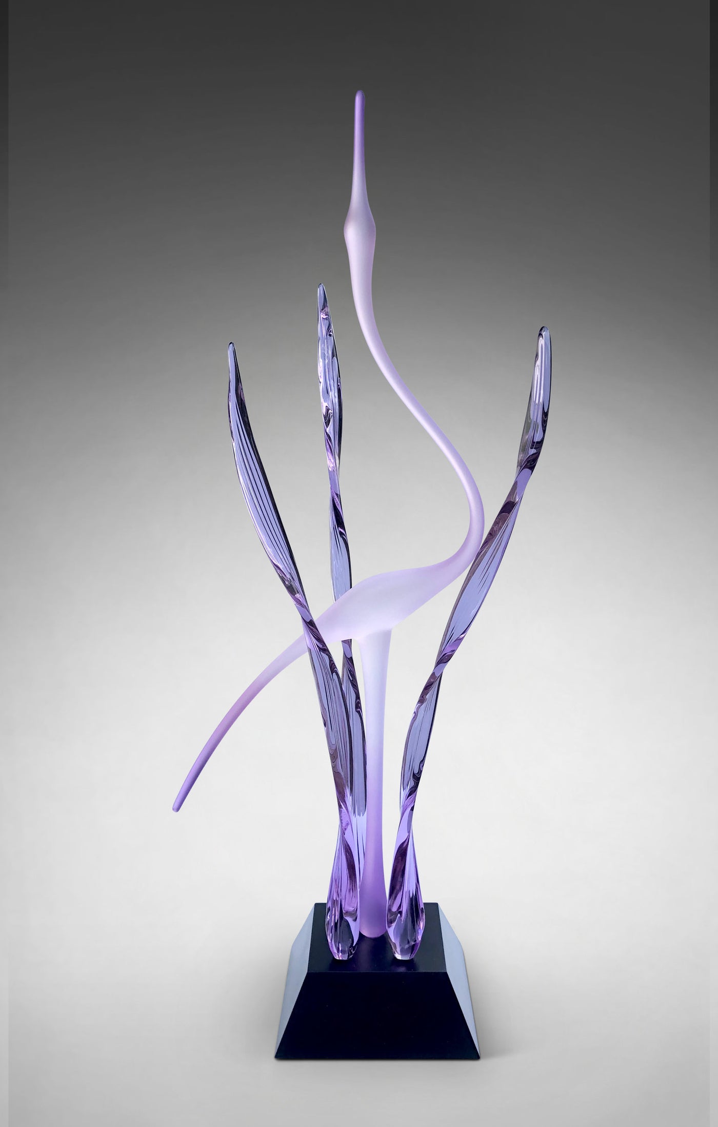 Heron in the Marsh, Violette