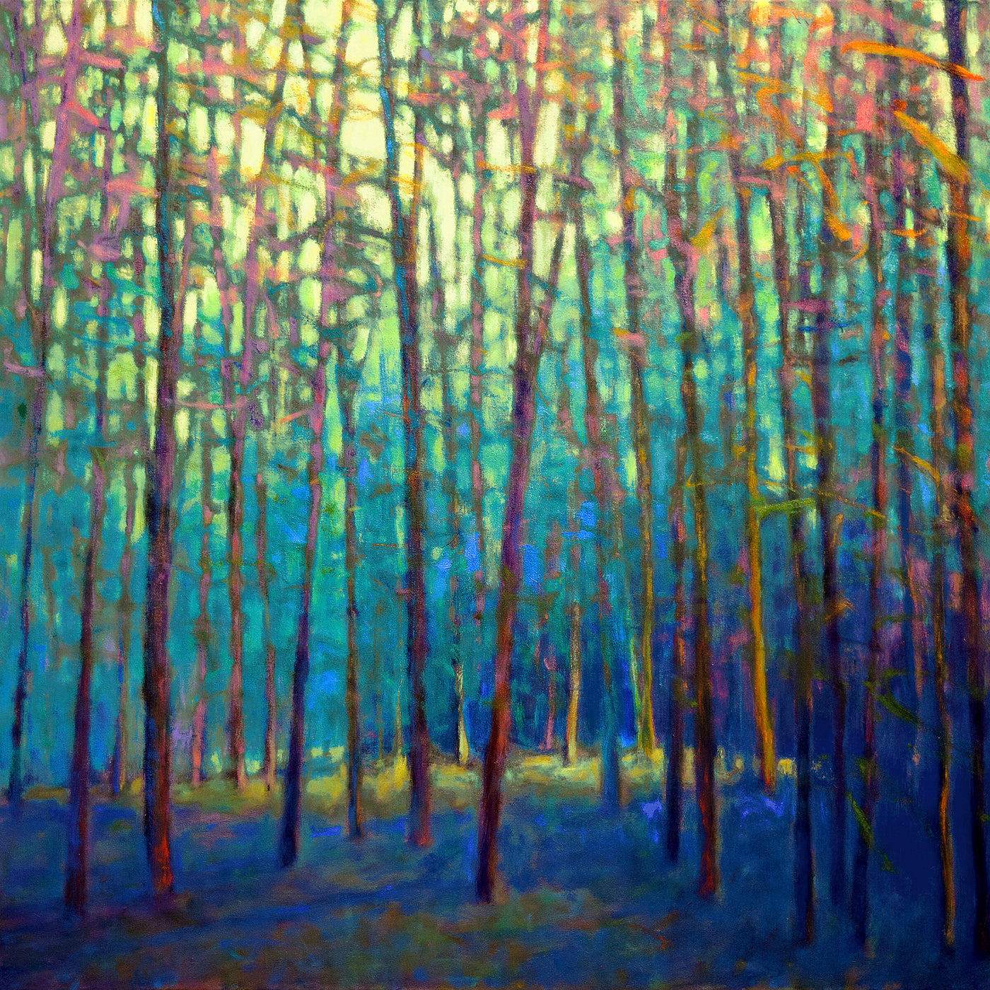 In the Forest Surround