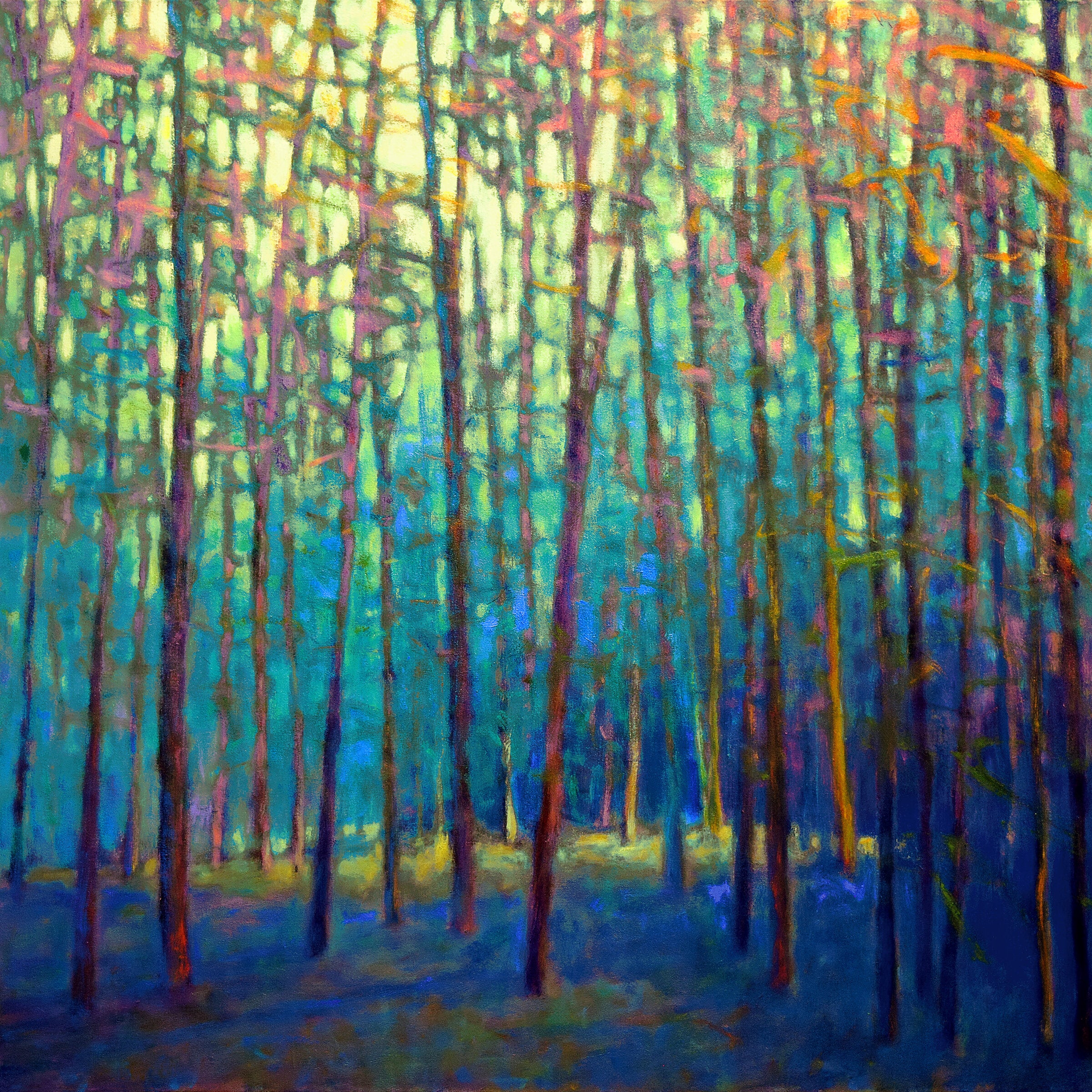 In the Forest Surround