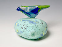 Blue Green Passerine on Rock