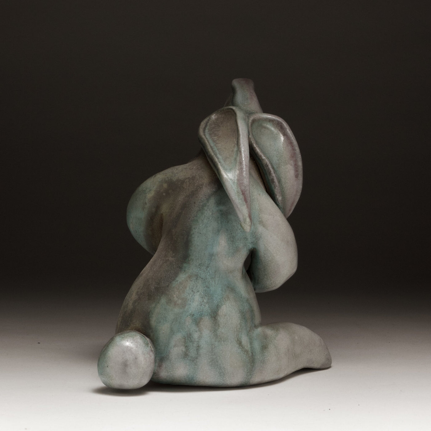 Quizzical Bunny