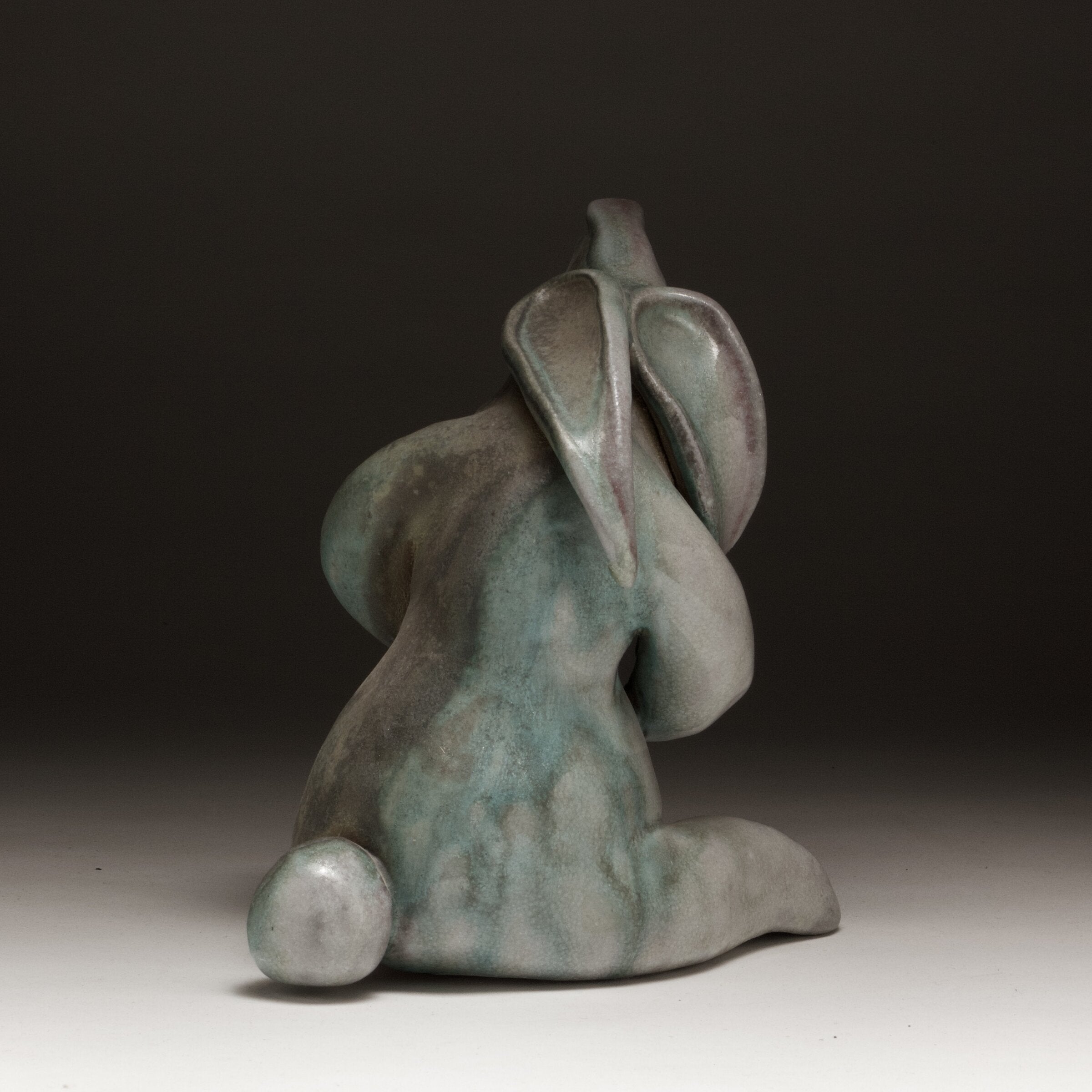 Quizzical Bunny