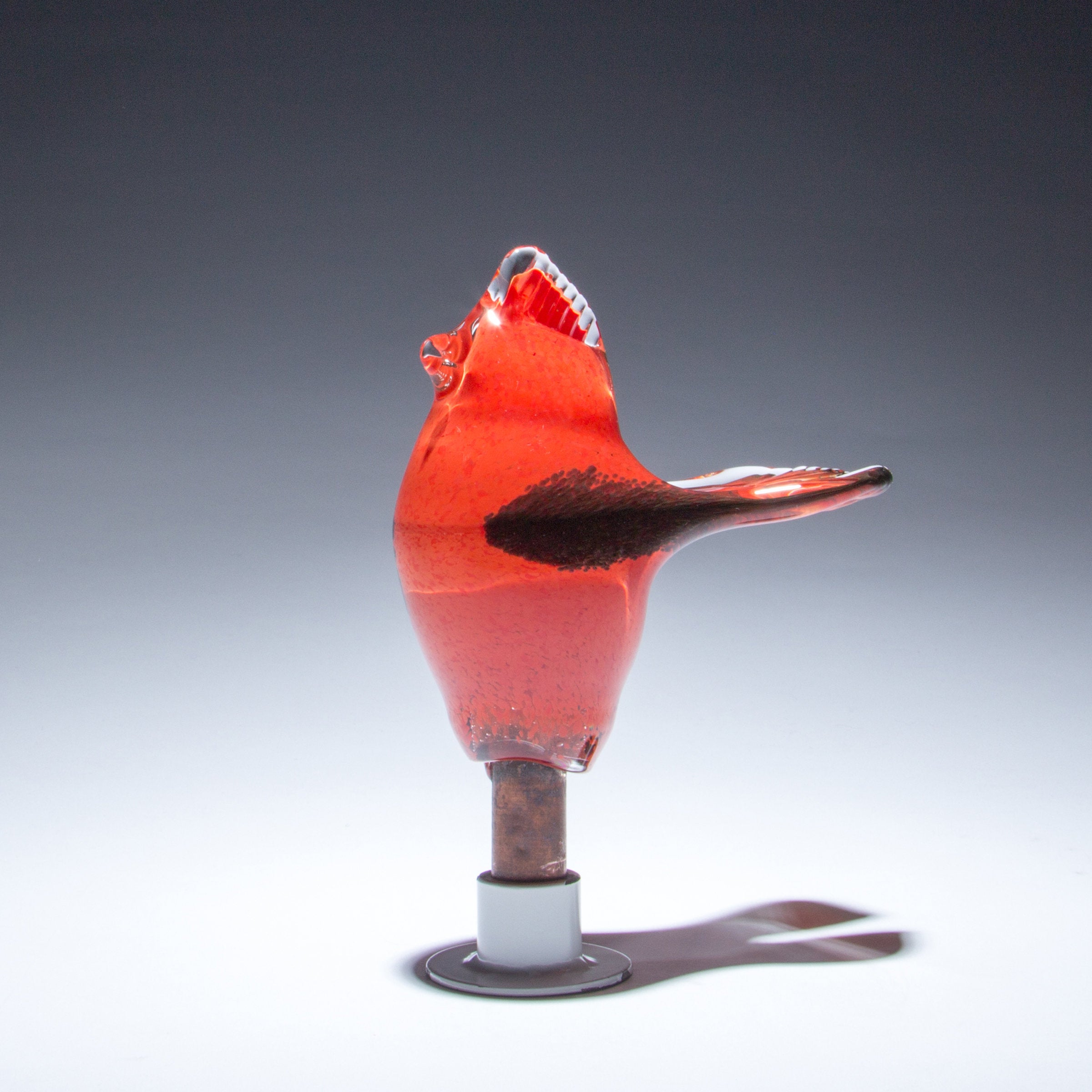 The Loving Cardinal