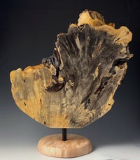 Display Piece Fashioned from Buckeye Burl