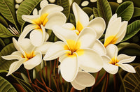 Aloha