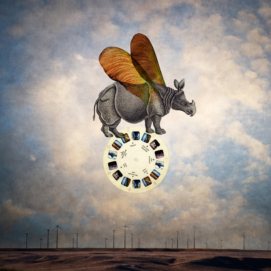 Balancing Rhino