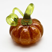 Green Stem Pumpkin in Brown