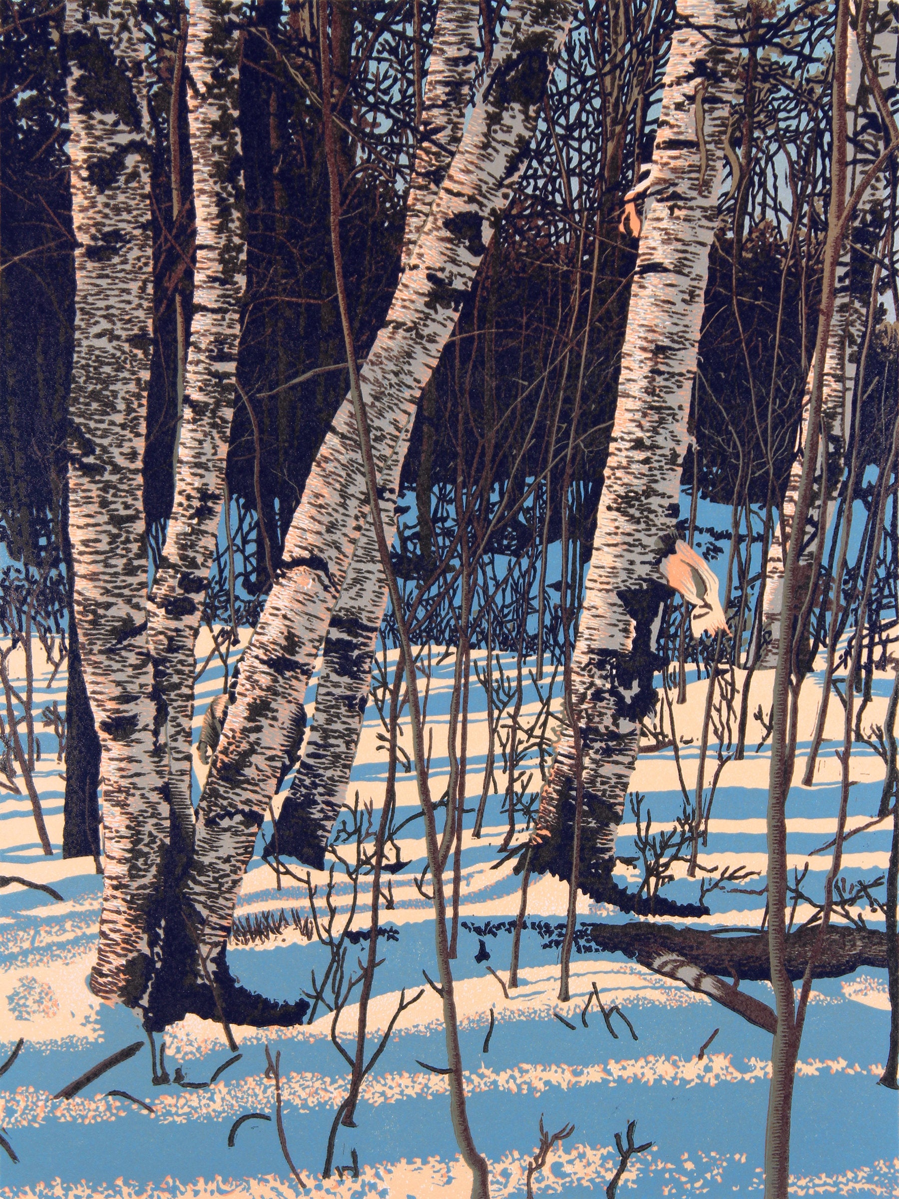 White Birch Shadows