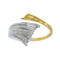 Mystery of Multidimensional Space Ring