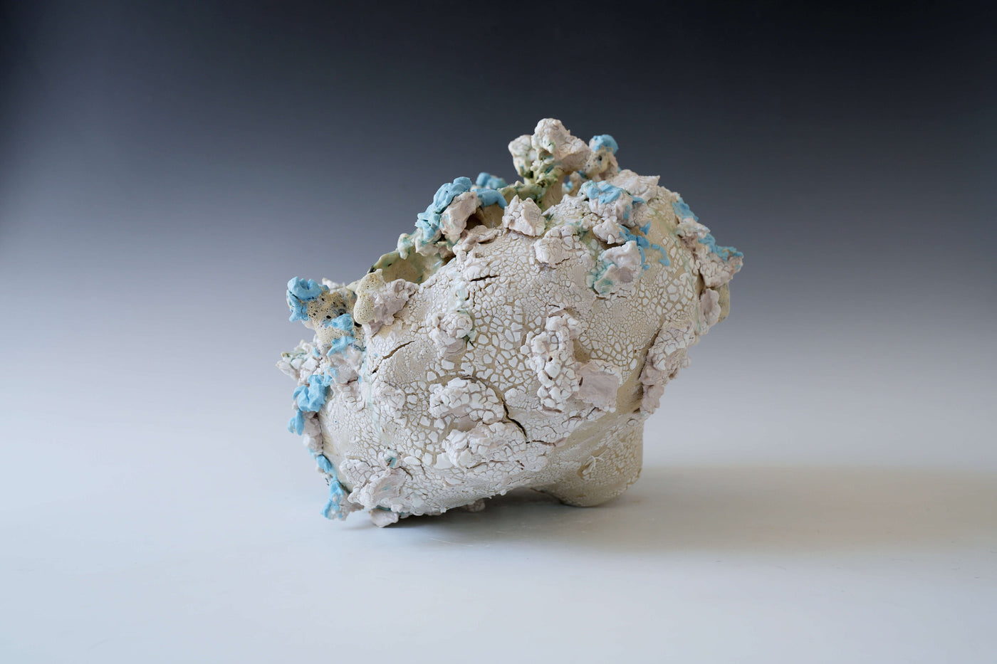 Fragments of a Moon Sea Vessel