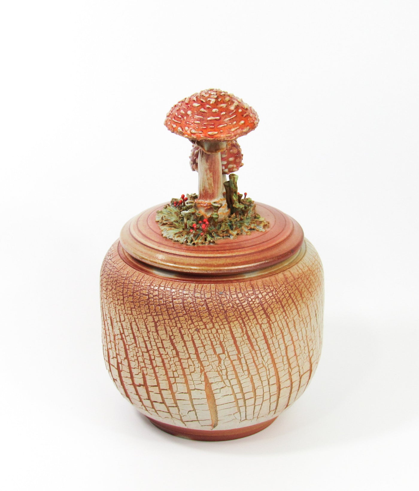 Amanita Muscaria
