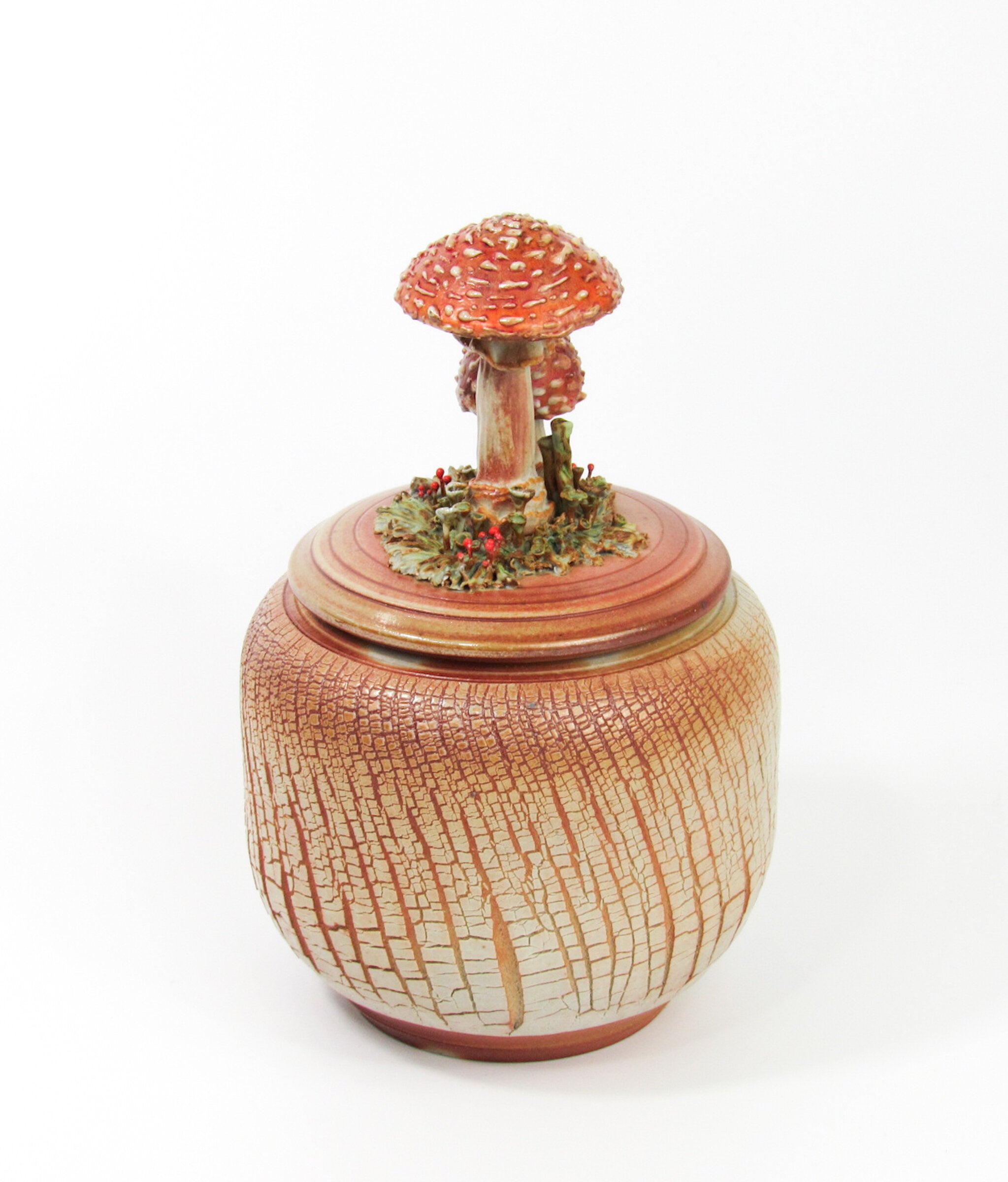 Amanita Muscaria