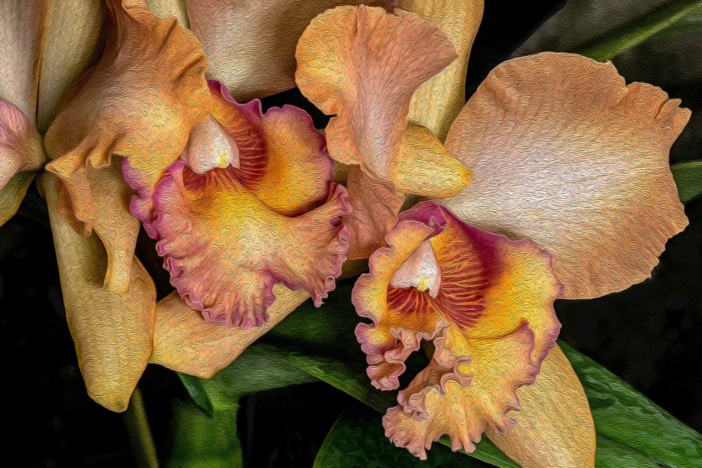 Orchids