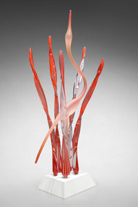 Heron's Cove I, Coral Passion