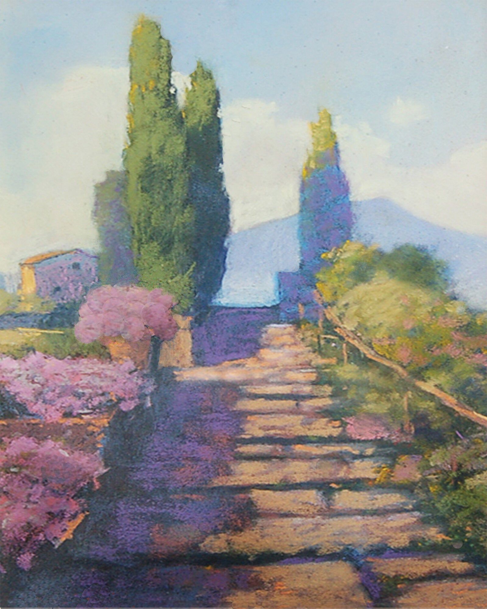 Bella Vista