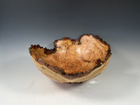 Natural Edge Cherry Burl V