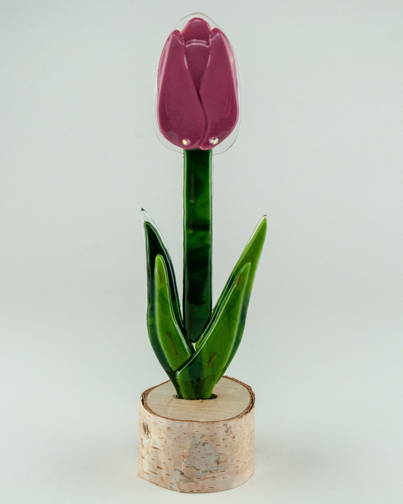 Mixed Berry Closed Tulip