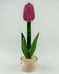 Mixed Berry Closed Tulip