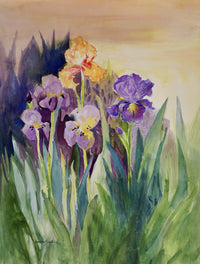 Spring Garden 9