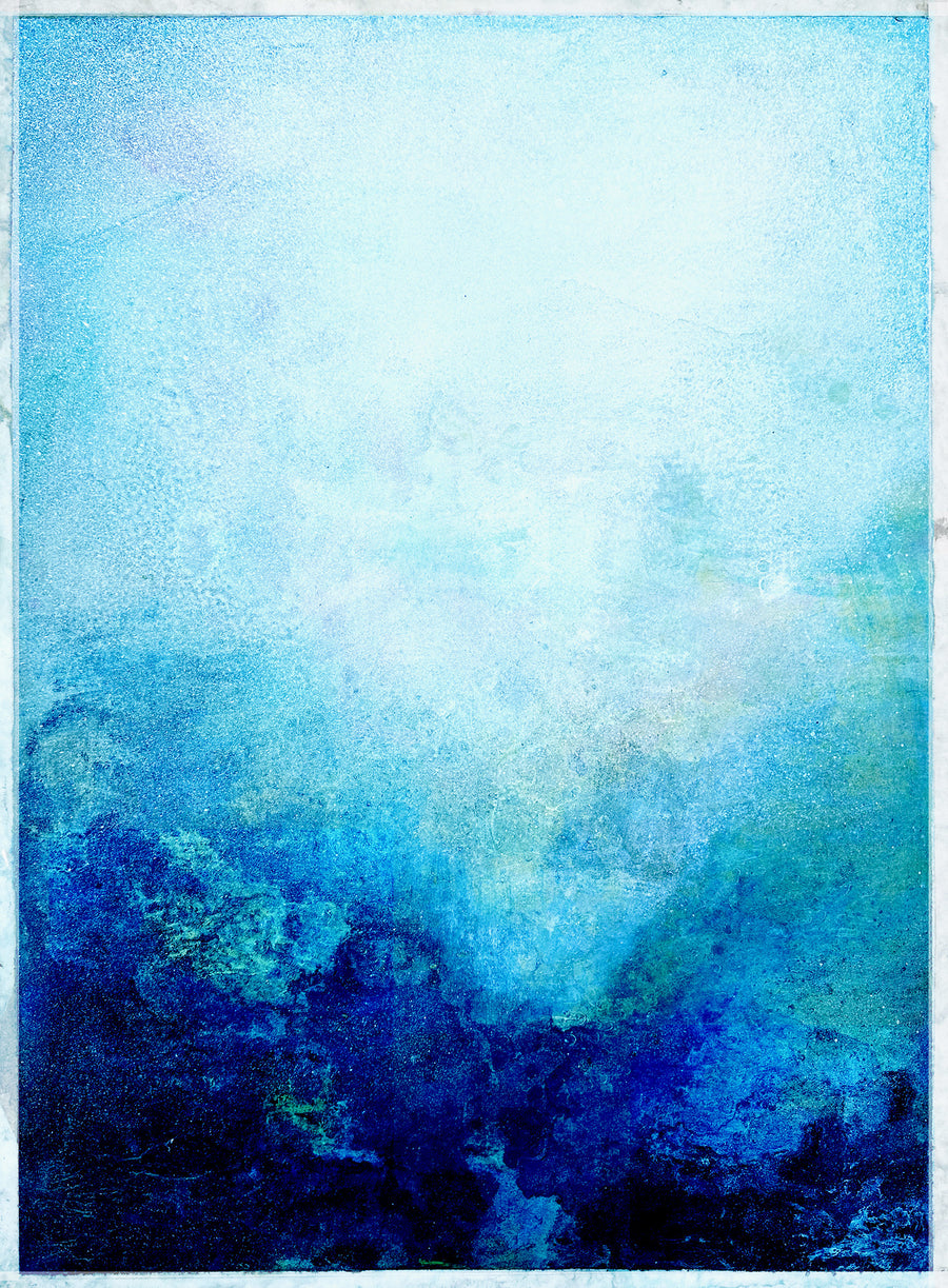 Corallium 46