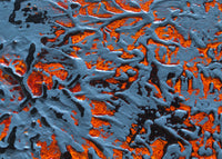 Double Burst Detail