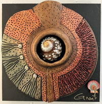 Windows to the Earth - African Turbo Shell Center
