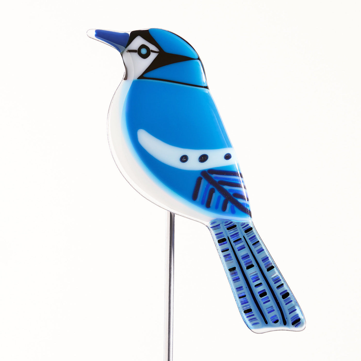 blue jay