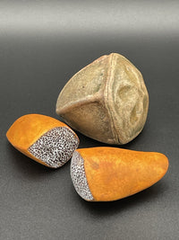 Seeds of Change, Grouping 5