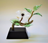 White Dogwood