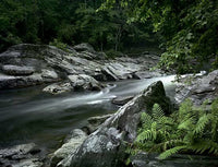 Chattooga River