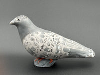Poetry Pigeon