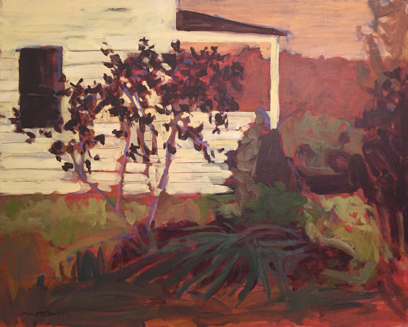 House and Garden