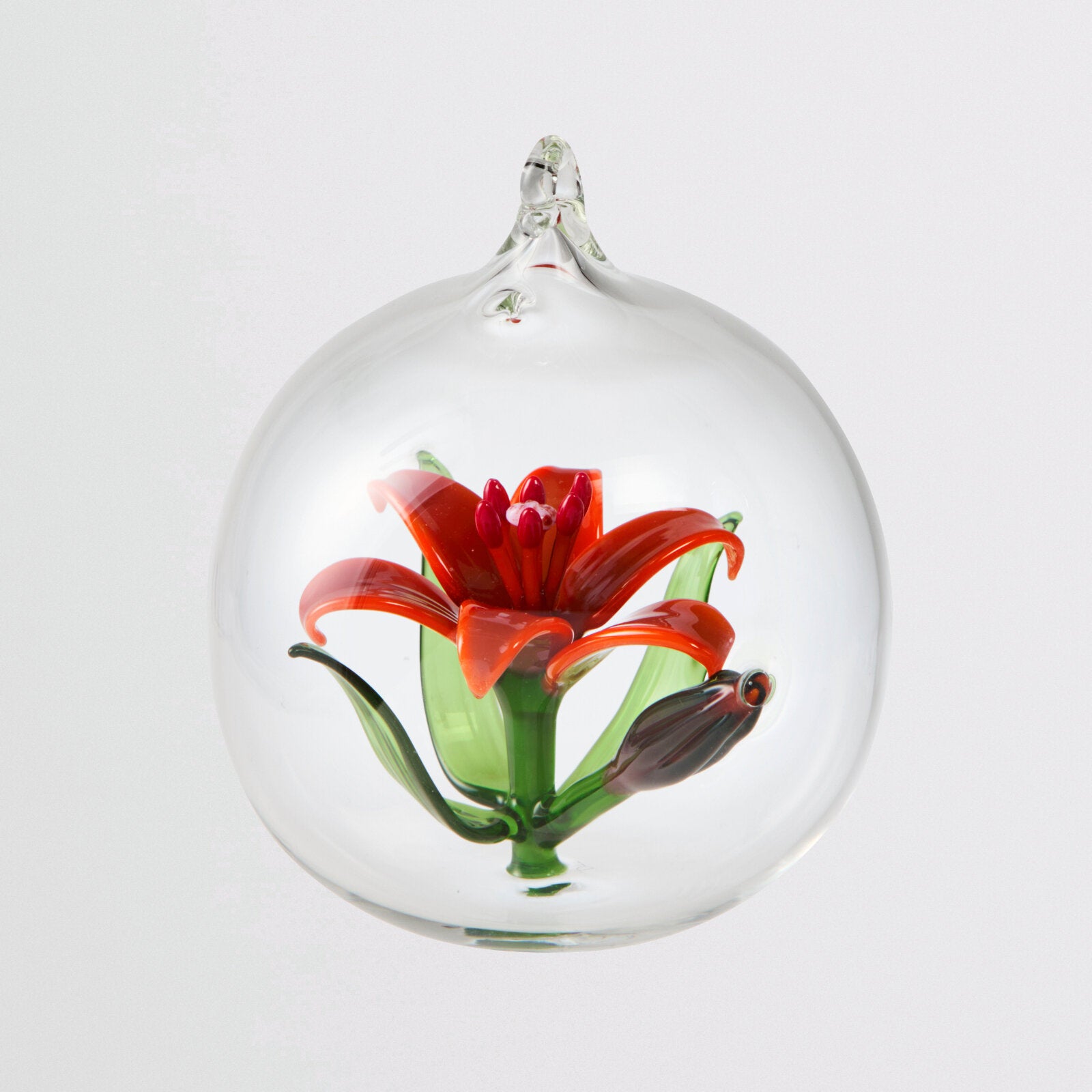 Crimson Lily