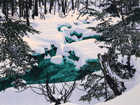 Whispers Of Winter