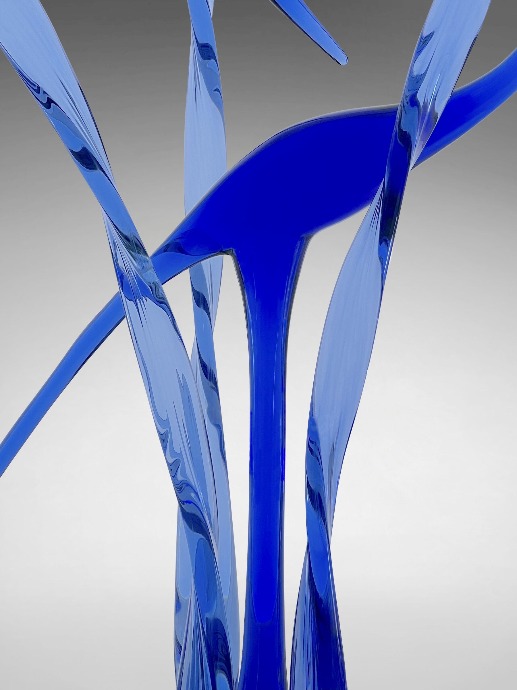 Serenity in the Marsh, Blue Waters