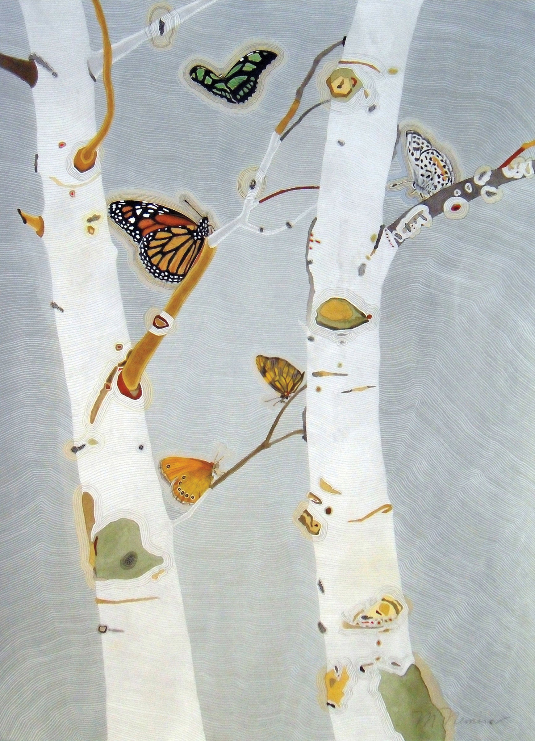 The Butterfly Trees