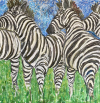 Zebra Herd
