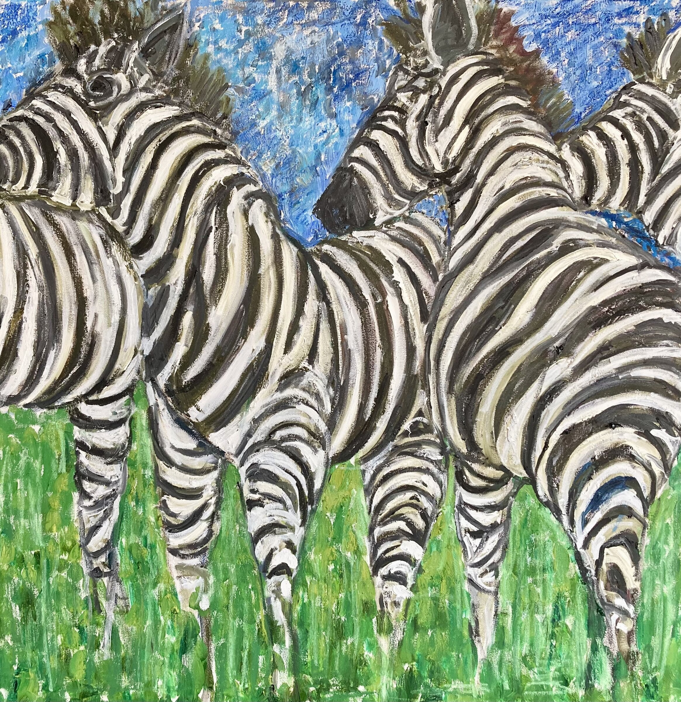 Zebra Herd