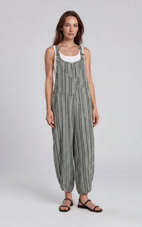 Aries Overall