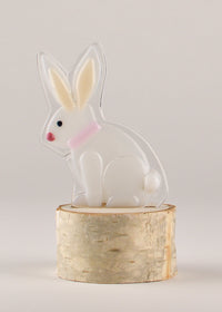 honey bunny