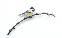 Spring Chickadee