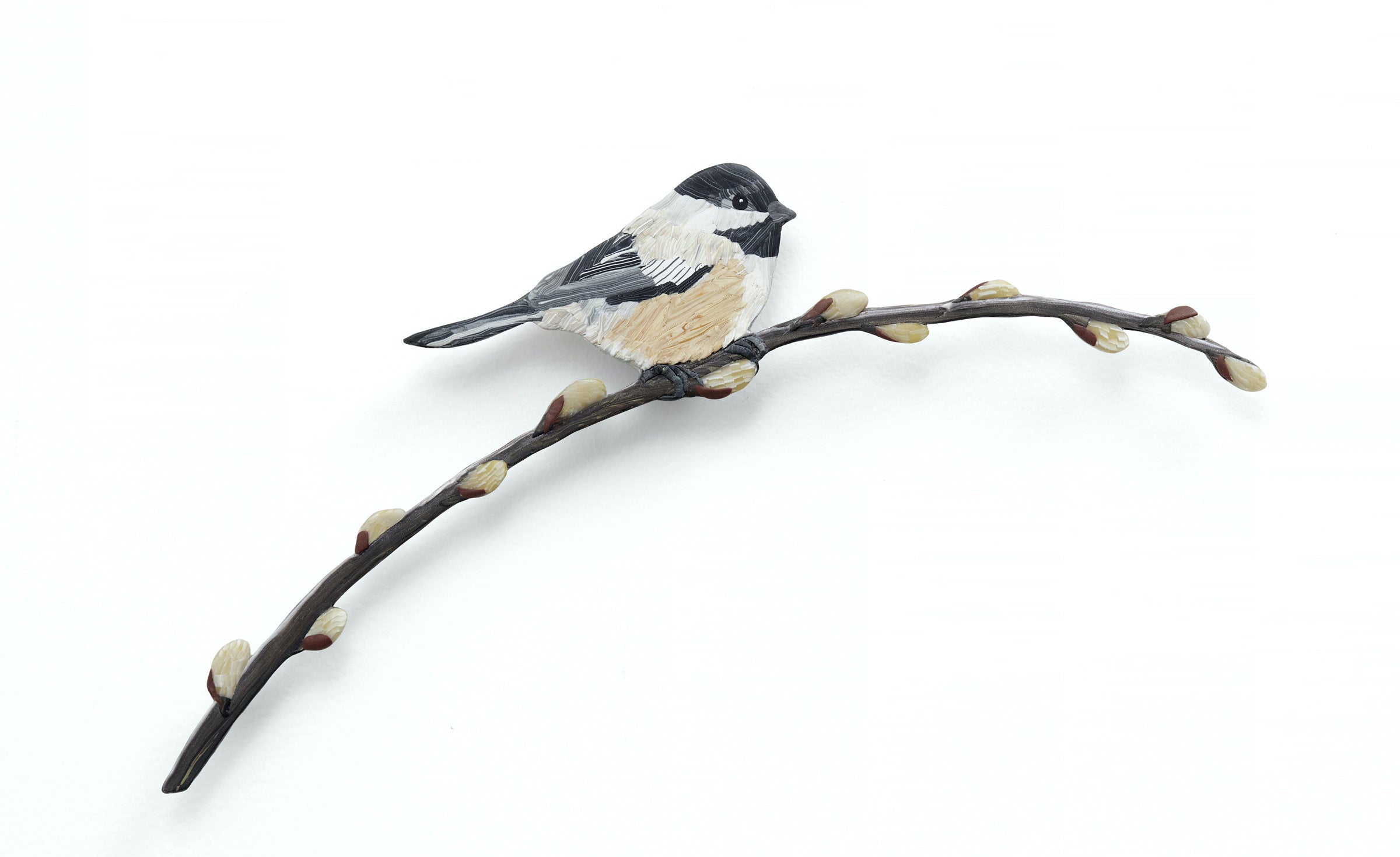 Spring Chickadee