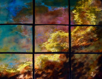 Swan in Nine Panels