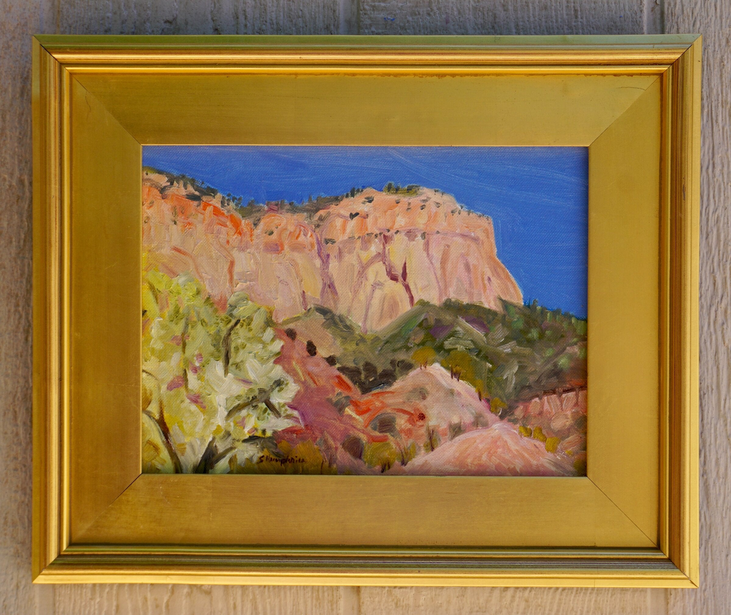 Jemez Summer #1