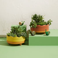 Succulent Planter