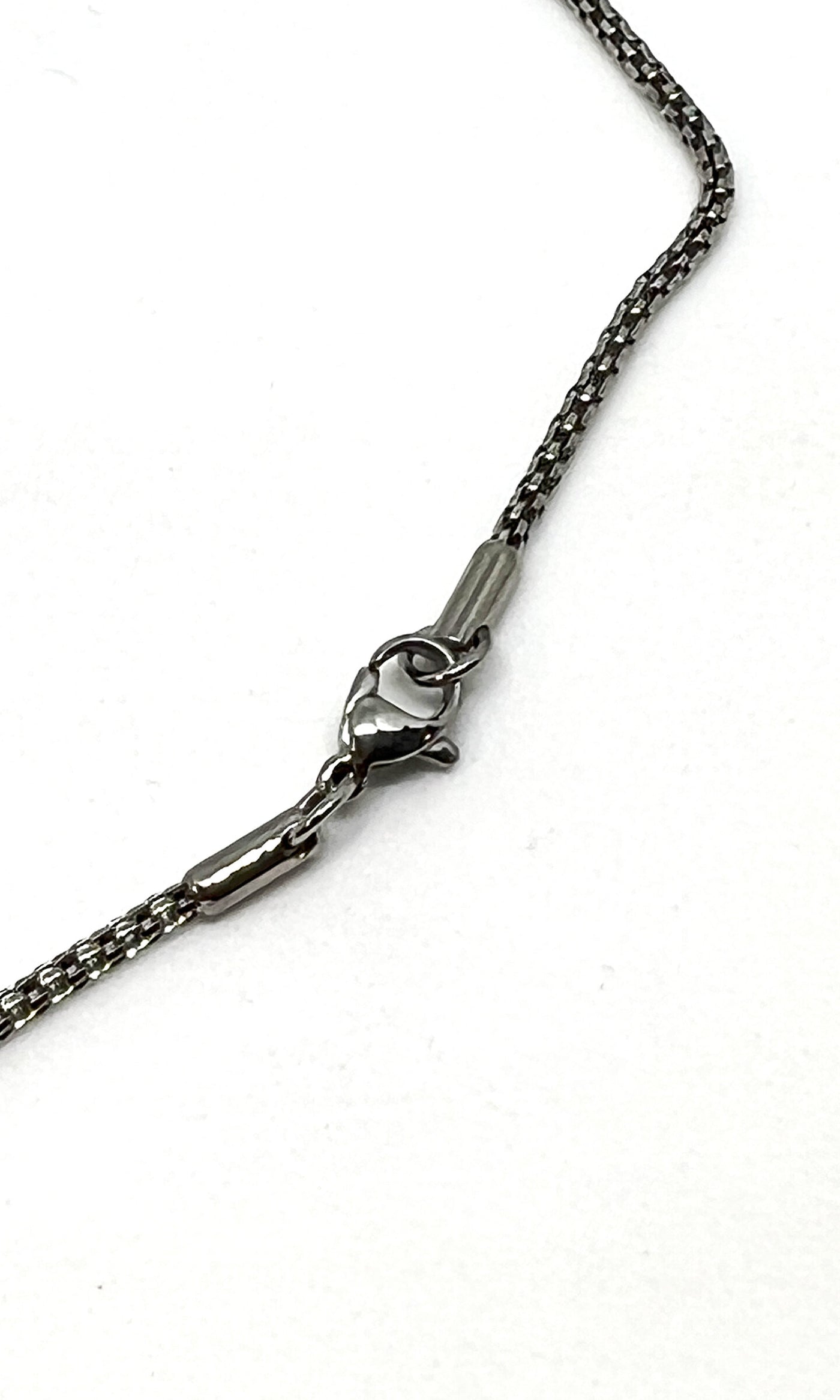View of the clasp
